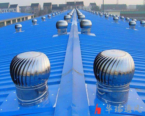 �o�����L�C